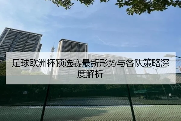 足球欧洲杯预选赛最新形势与各队策略深度解析